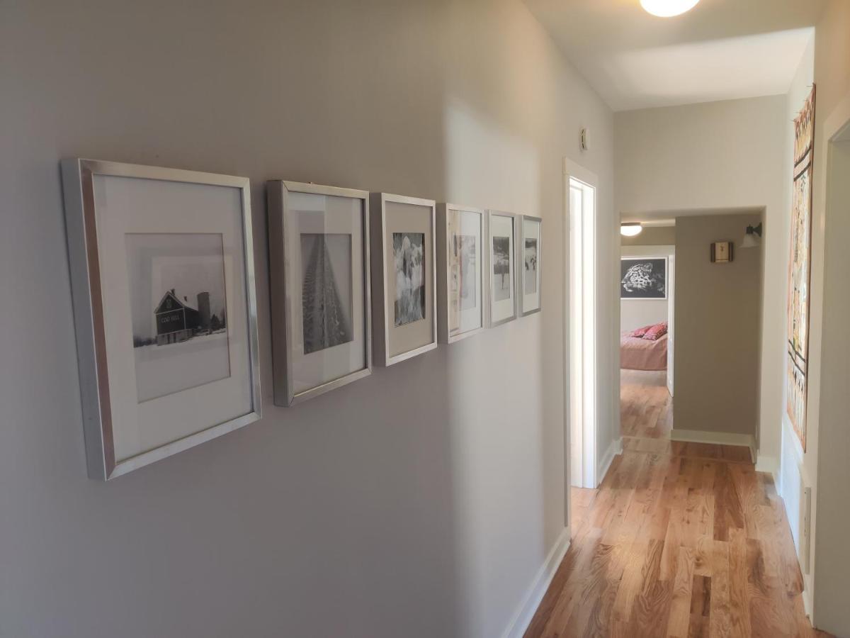 Historic Oak Park Home For 6 / Hemingway District エクステリア 写真